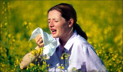 Hay-Fever