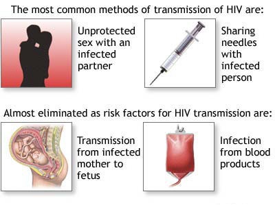 HIV_transmission