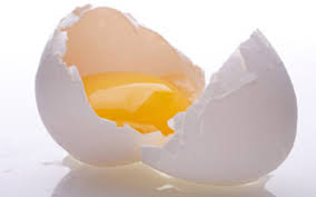 Salmonella - raw egg