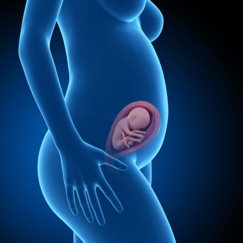 یک مرکز تحقیقات در برزیل اعلام کرد که توانسته ویروس زیکا را در بند ناف یک جنین سقط شده تشخیص دهد. این کشف نشان می‌دهد که این ویروس می‌تواند به جنین برسد.