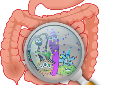 probiotic- microbiote-intestinal
