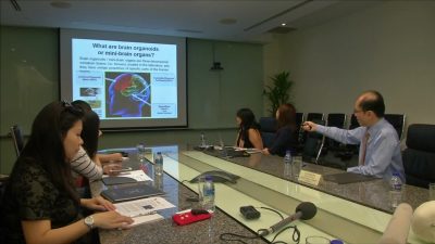 تولید نورون های بخش میانی مغز با سلولهای بنیادی توسط دانشمندان سنگاپوری